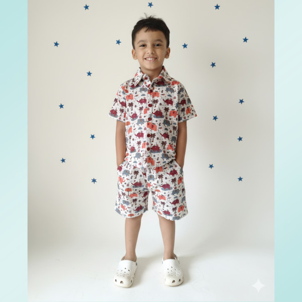 Kids Cotton Half Sleeves Shirt Shorts Set With Elephant print